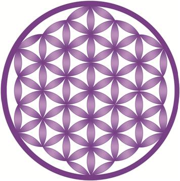 flor de la vida
