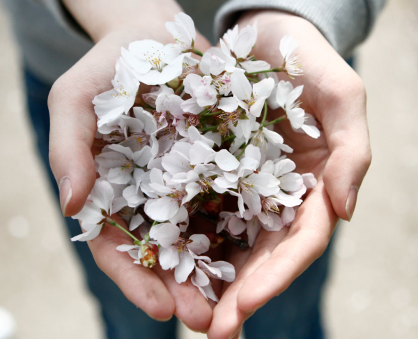 Manos flores
